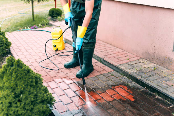 Best Solar Panel Cleaning  in Tappahannock, VA